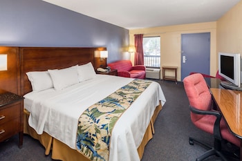 Room, 1 King Bed