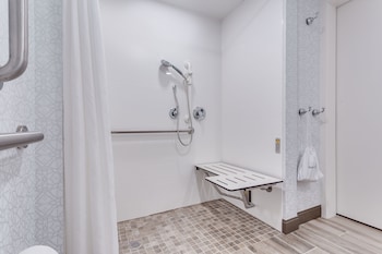 Studio, 1 King Bed, Accessible (Mobility & Hearing, Roll-In Shower)