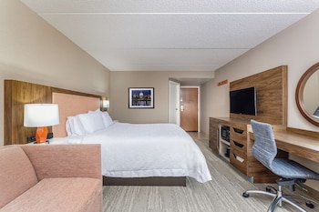 Room, 1 King Bed with Sofa bed