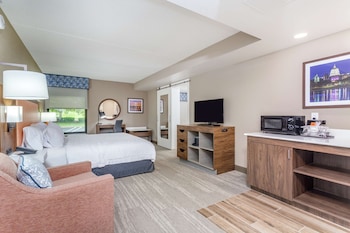 Suite, 1 King Bed, Accessible (Mobility & Hearing, Roll-in Shower)