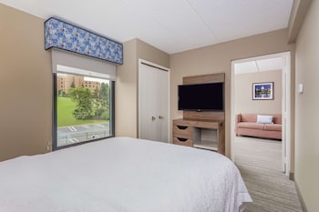 Suite, 1 Queen Bed with Sofa bed