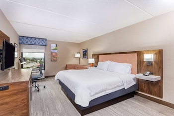 Studio, 1 King Bed, Accessible (Mobility & Hearing, Roll-In Shower)