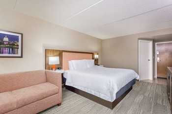 Room, 1 King Bed with Sofa bed