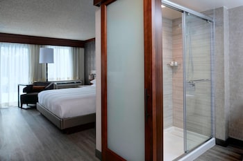 Room, 1 King Bed