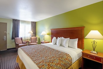 Room, 1 King Bed