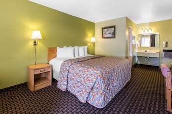 Room, 1 King Bed