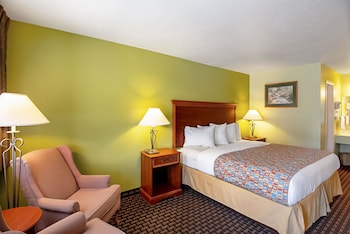 Room, 1 King Bed, Accessible, Non Smoking
