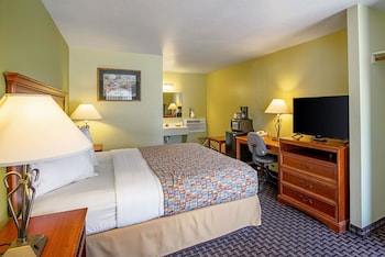 Room, 1 King Bed