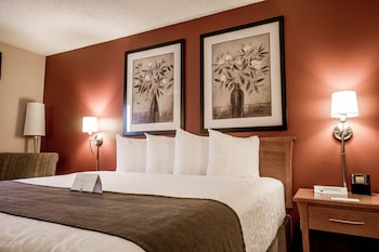 Standard Room, 1 Queen Bed, Non Smoking (Not pet friendly)