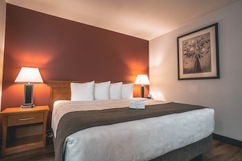 Suite, 1 King Bed with Sofa bed, Non Smoking (Pet Friendly)