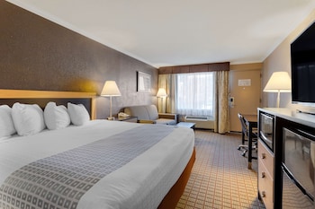 Standard Room, 1 King Bed, Accessible, Bathtub