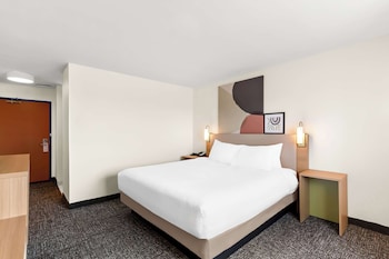 Room, 1 King Bed