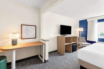 Room, 1 King Bed