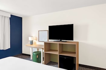 Room, 1 King Bed