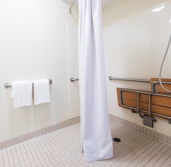 Deluxe Room, 1 King Bed, Accessible, Non Smoking (Roll-In Shower)