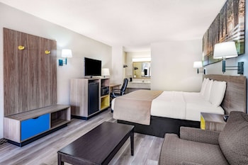Room, 1 King Bed, Smoking