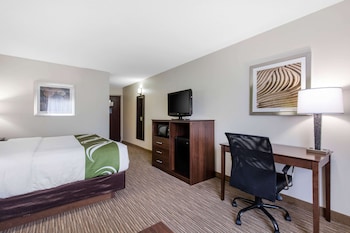 Standard Room, 1 King Bed, Non Smoking