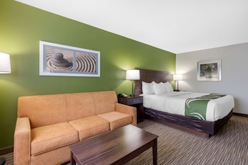 Standard Room, 1 King Bed, Non Smoking