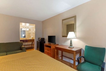 Standard Room, 1 King Bed with Sofa bed, Non Smoking