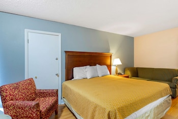 Standard Room, 1 King Bed with Sofa bed, Non Smoking