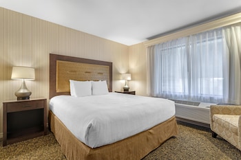 Standard Room, 1 King Bed, Non Smoking, Microwave