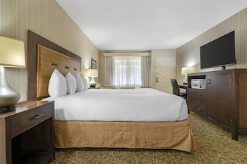 Standard Room, 1 King Bed, Accessible, Non Smoking