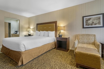 Standard Room, 1 King Bed, Accessible, Bathtub