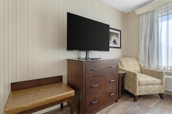 Suite, 1 King Bed, Non Smoking (Oversized Room;with Sofabed)