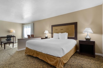 Suite, 1 King Bed, Non Smoking, Refrigerator & Microwave (with Sofabed)