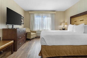 Suite, 1 King Bed, Non Smoking (Oversized Room;with Sofabed)
