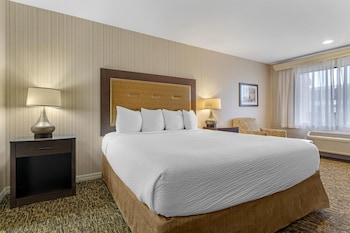 Standard Room, 1 King Bed, Accessible, Bathtub