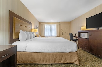 Standard Room, 1 King Bed, Accessible, Bathtub