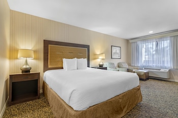 Standard Room, 1 King Bed, Non Smoking, Refrigerator & Microwave