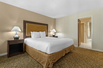 Suite, 1 King Bed, Non Smoking, Refrigerator & Microwave (with Sofabed)