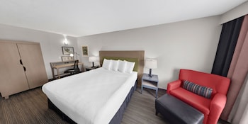 Room, 1 King Bed, Non Smoking