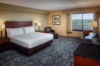 Executive Room, 1 King Bed, Accessible (Roll-in Shower)