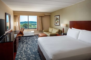 Room, 1 King Bed