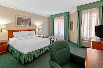 Room, 1 King Bed, Accessible, Non Smoking (Mobility Accessible)
