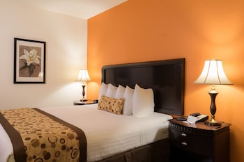 Executive Room, 1 King Bed, Non Smoking