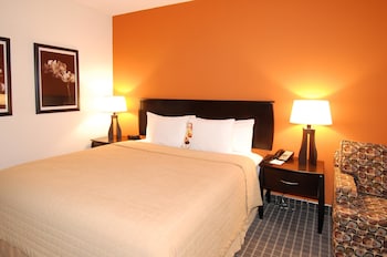Standard Room, 1 King Bed, Non Smoking