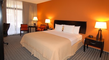 Executive Room, 1 King Bed, Non Smoking