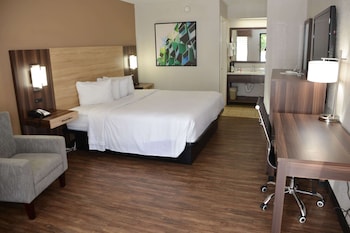 Suite, 1 Bedroom, Non Smoking