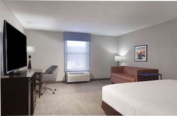 Room, 1 King Bed, Non Smoking (Larger Room)