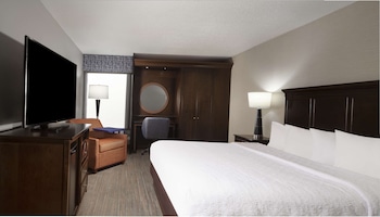 Room, 1 King Bed (Pure Wellness)