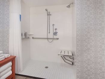 Room, 1 Queen Bed, Accessible (Roll-In Shower)