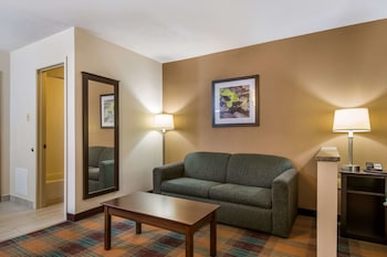 Room, 1 King Bed