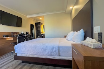 Premium Room, 1 Queen Bed, Non Smoking