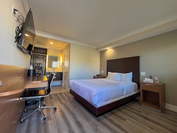 Premium Room, 1 Queen Bed, Non Smoking