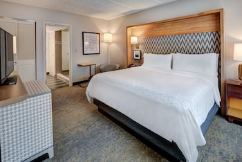 Suite, 1 King Bed