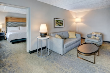 Suite, 1 King Bed